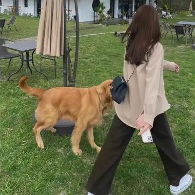 精采的尸体
